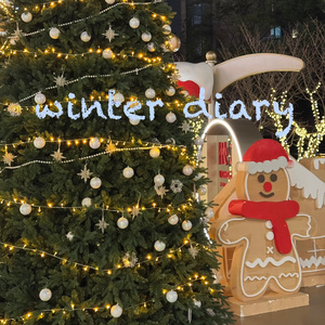 冬至日记（winter diary）