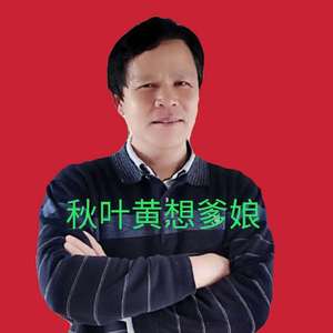 秋叶黄了想爹娘