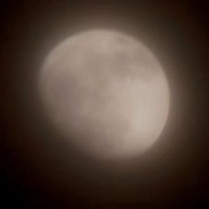 Luna Demo（Prod by Sapjer）