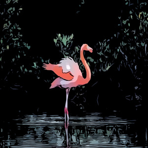 My Heart Is in Hawaii