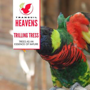 Fearless Toad Chorus