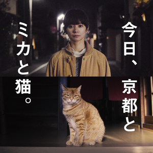 のらねこダンス