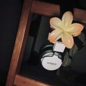 No Love Allowed (sped up)