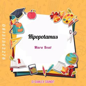 Hipopotamus Mara Beat 08131362278