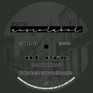 Sentimientos (Carlo Riviera Del Distrito Remix)