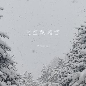 天空飘起雪