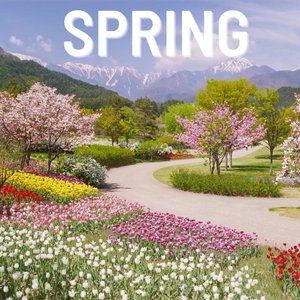Spring