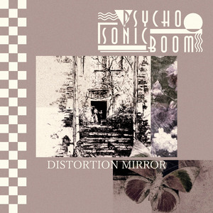Distortion Mirror
