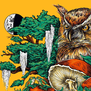 Fray > Snow in June (Live)