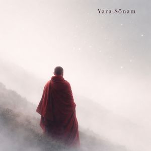A Thousand Small Skies