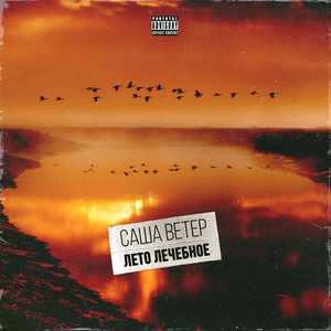 Лето лечебное