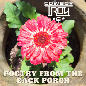 A Lonely Desert Motel Room