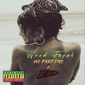 ne pars pas (feat. Weed Fayah)