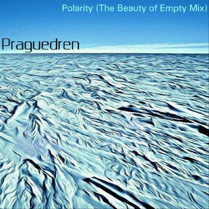 Polarity (The Beauty of Empty Mix)
