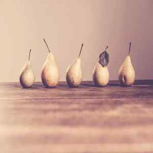 抚慰的假期回忆