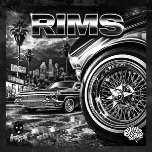 RIMS