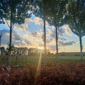 无人之岛cover任然