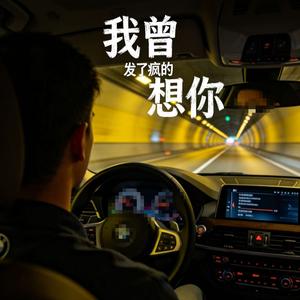 我曾发了疯的想你