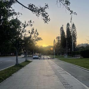 那路边的芦苇和我一样（2022）