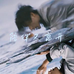 陪伴又离开