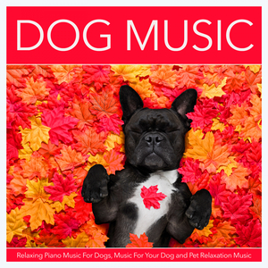 Dog Music For Sleep (feat. Music For Deep Sleep & Musica Para Dormir 101)