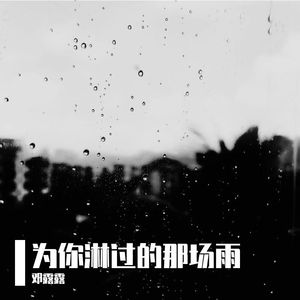 为你淋过的那场雨