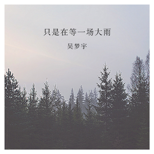 只是在等一场大雨