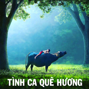 Xôn xao sông Hàn