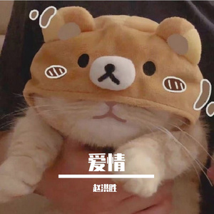 未曾离开却已离开 伴奏