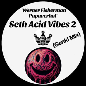 Seth Acid Vibes 2 (Genki Mix)