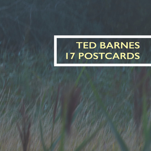 Line Them Up, Knock Them Down