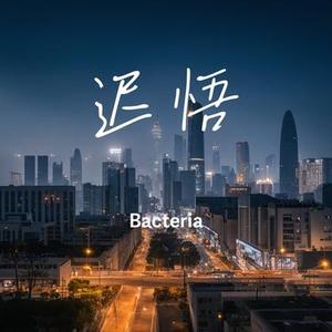 迟悟