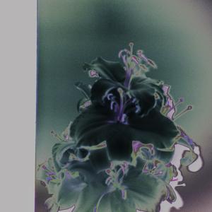 Drag (Cooper Saver Remix)