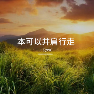步步向光芒去