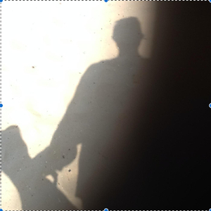 The Love of the Forest