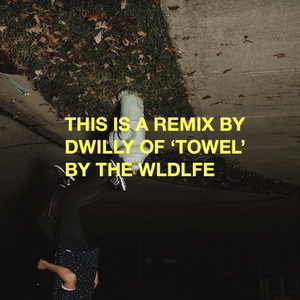 Towel (Dwilly Remix)