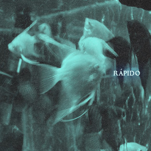 Rápido