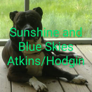 Sunshine and Blue Skies