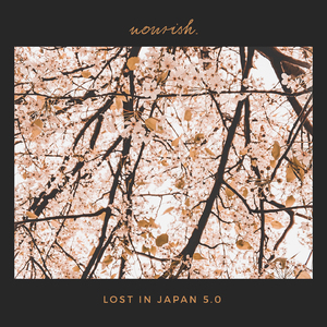 Lost in Japan 5.0