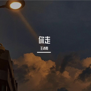 你走