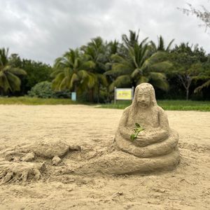 太平洋西岸的歌