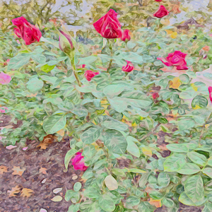 Palloncini (Balloons)