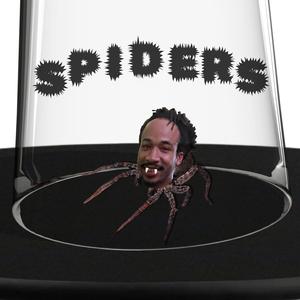 Spiders