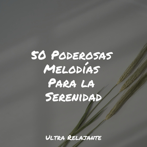 Despreocupado