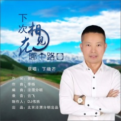 人在流浪心在家乡 (DJ伟然版)
