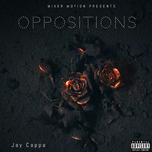 Oppositions