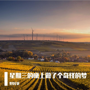 星期三的晚上做了个奇怪的梦