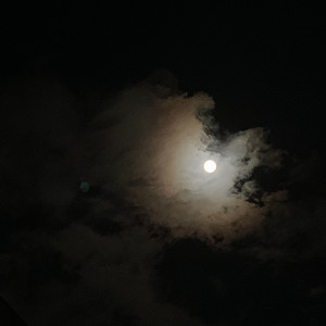 别离开我（Don’t leave me)