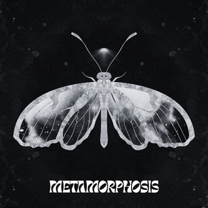 TOUS LE JOURS AVEC TOI