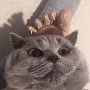 我要你